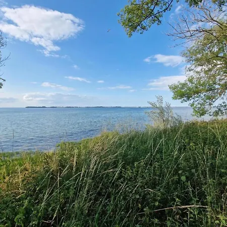 Lejlighed Cozy With Garden *